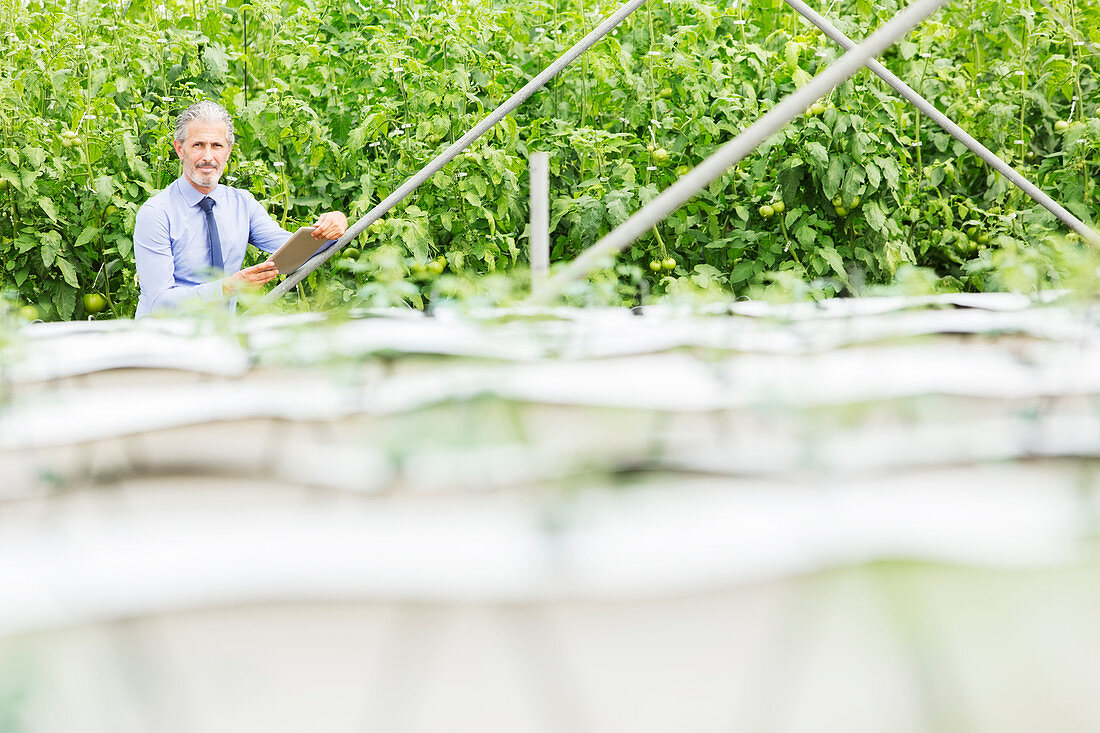 Botanist with tablet in greenhouse