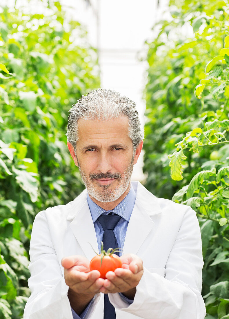 Botanist holding ripe tomato