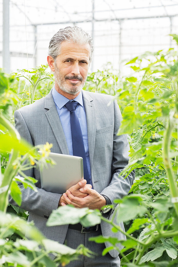 Business owner among tomato plants