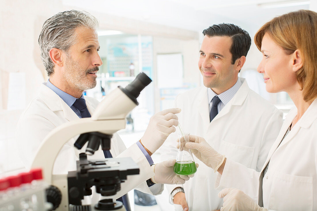 Scientists working in laboratory