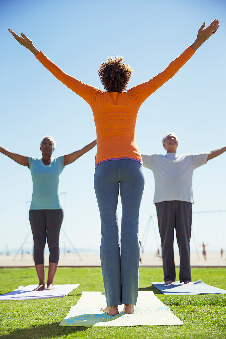 Seniors practicing yoga in sunny park