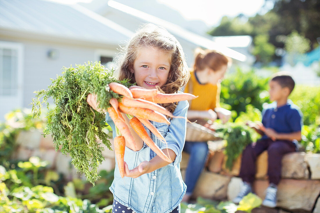 Girl holding bunch of carrots in garden