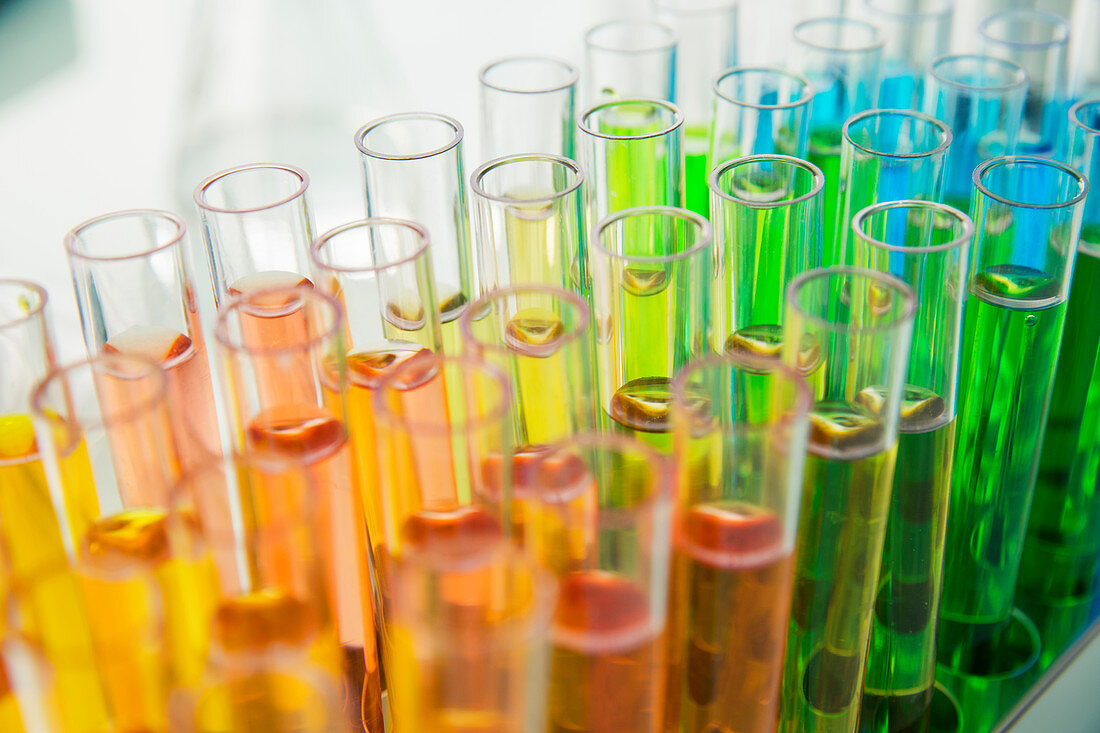 Close up of rack of test tubes