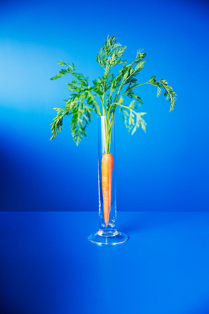 Carrot standing upright in glass