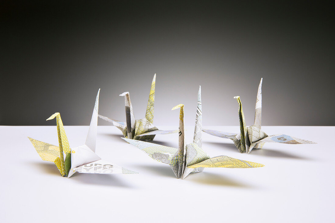 Origami cranes made of Euros on counter