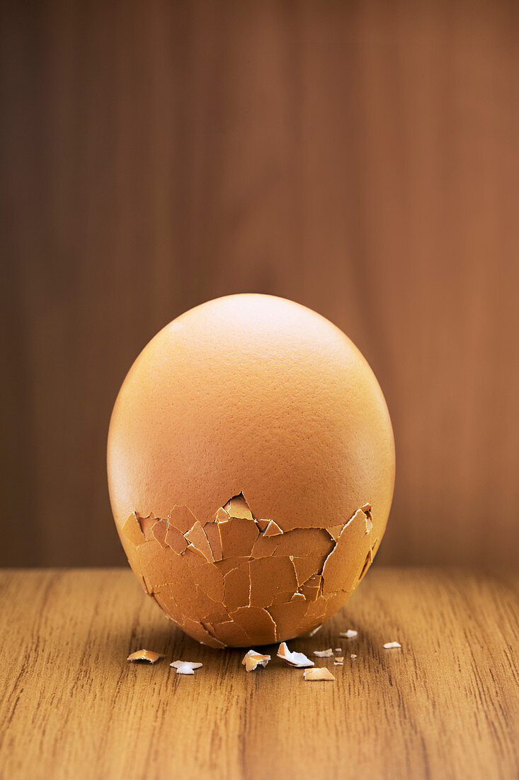 Close up of egg cracking on counter