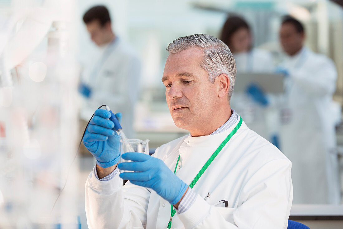 Scientist examining sample in beaker