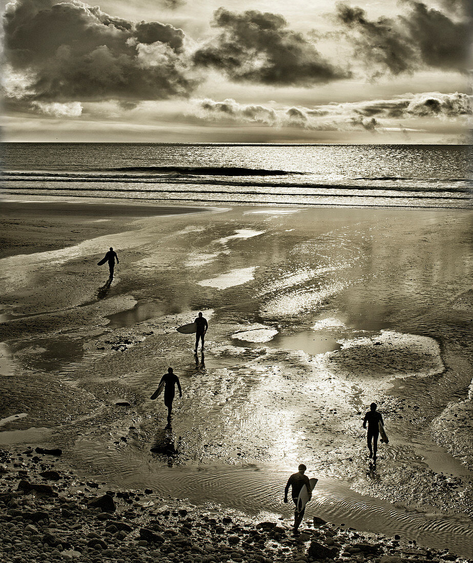 Silhouettes of surfers walking