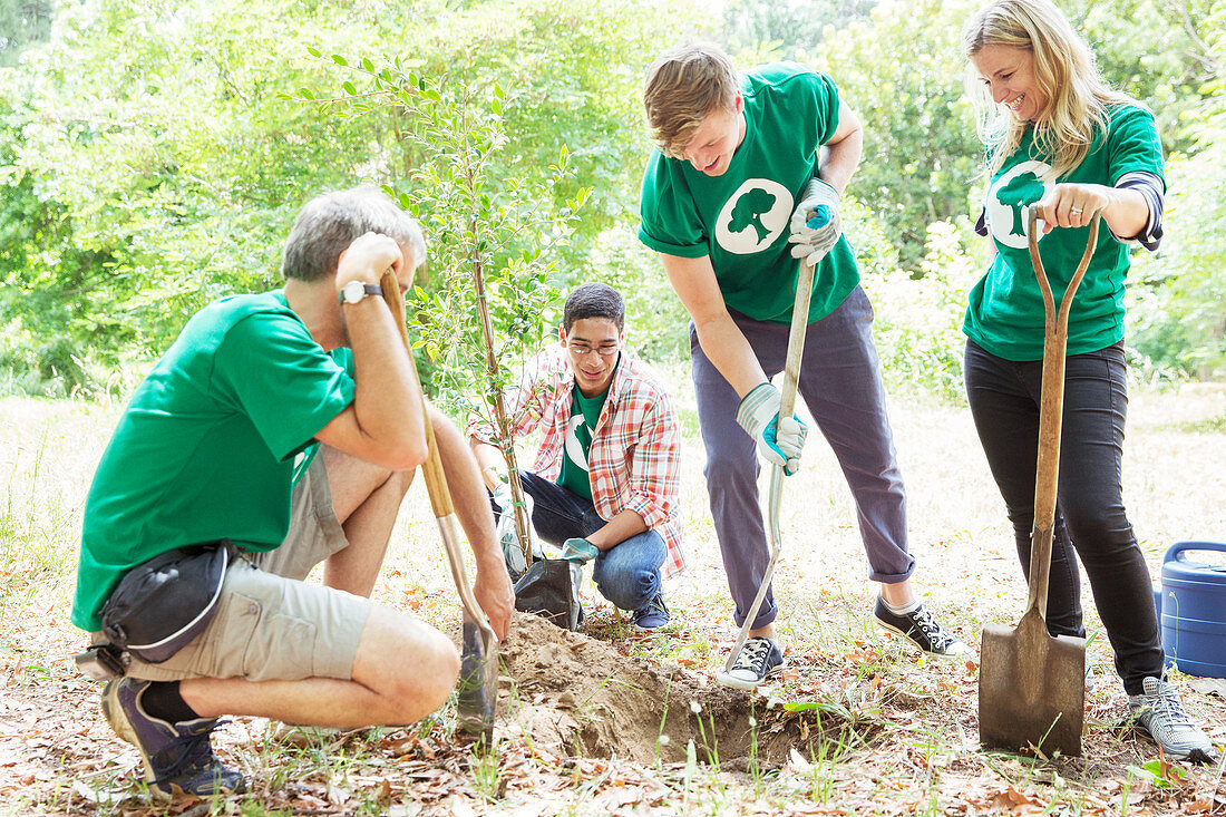 Environmentalist volunteers planting