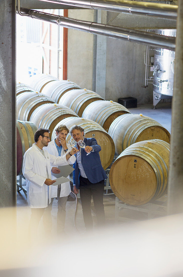 Vintners examining wine in winery cellar