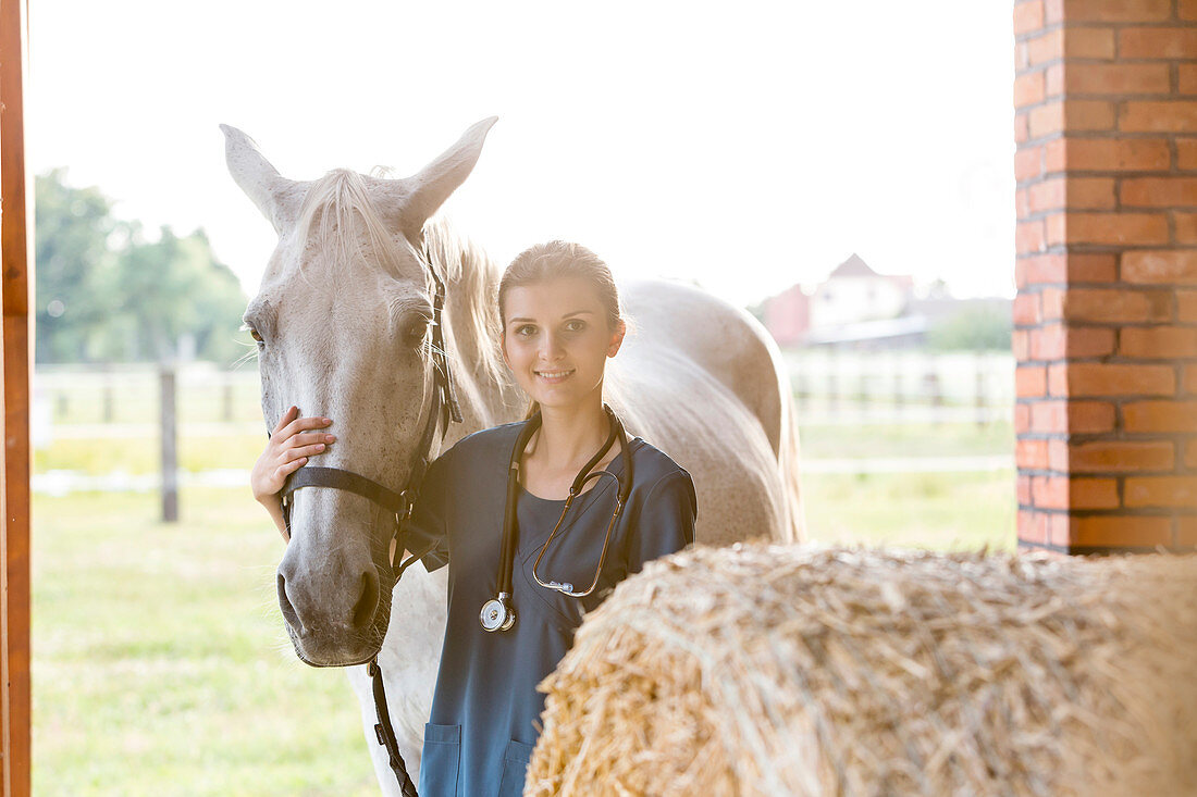Veterinarian with horse in barn