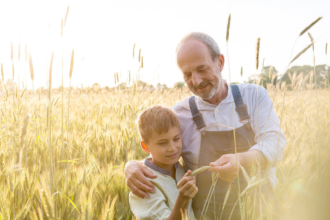 Farmer grandfather and grandson