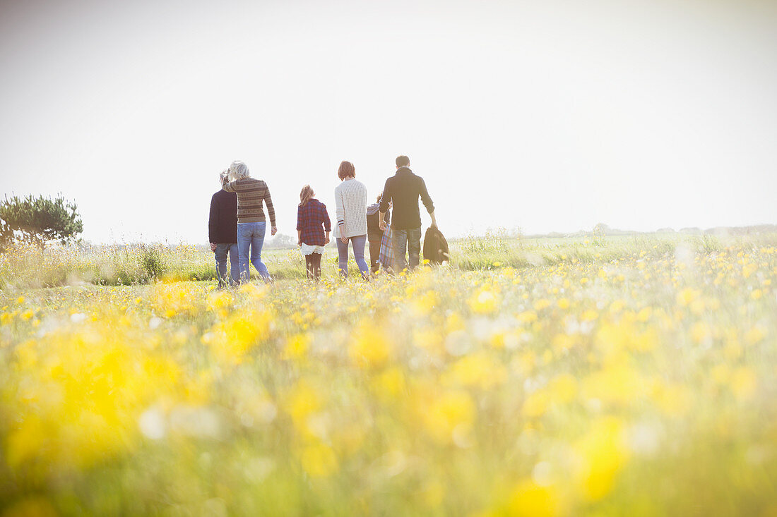 Family walking in meadow with wildflowers