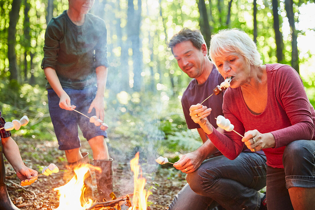 Family roasting marshmallows at campfire