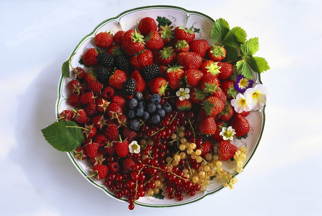 Viele verschiedene Beeren in Schale, Deko: Blüten & Blätter