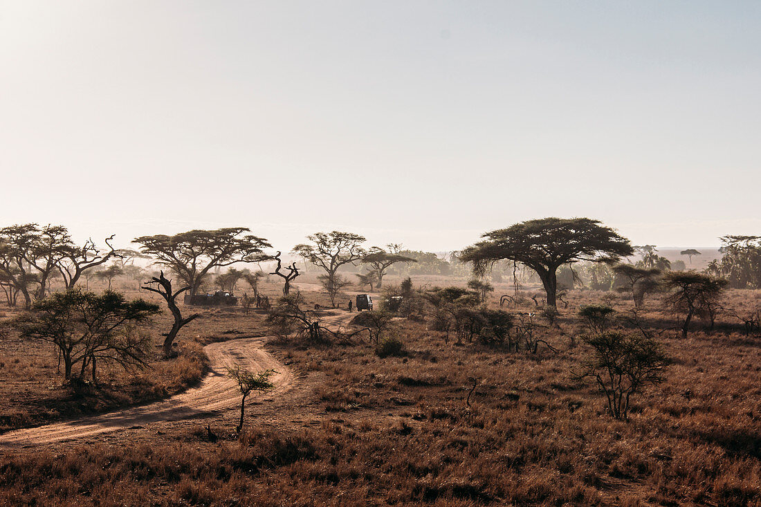 Desert, Serengeti, Tanzania