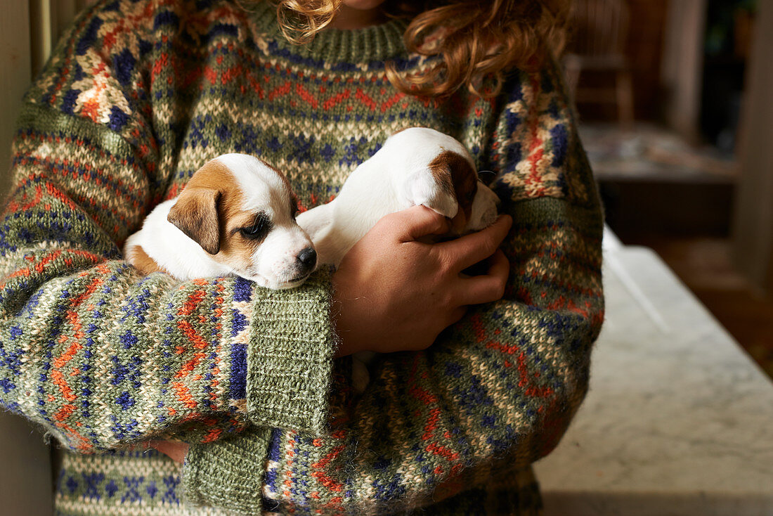Girl in sweater holding puppies
