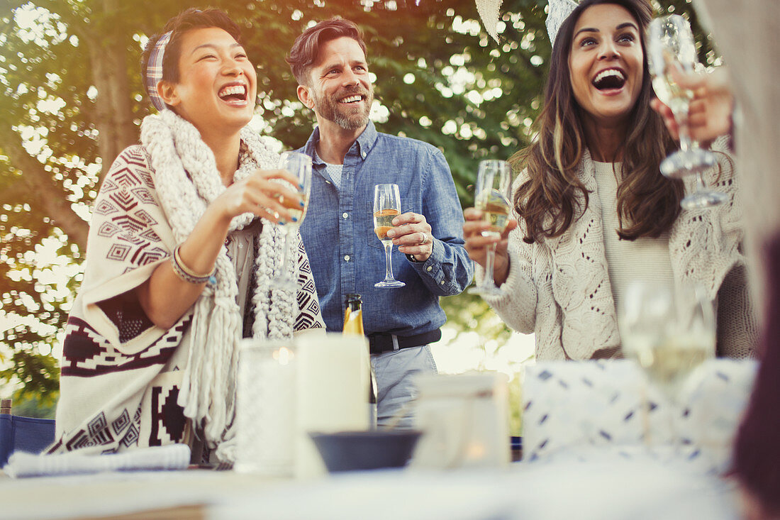 Friends drinking champagne