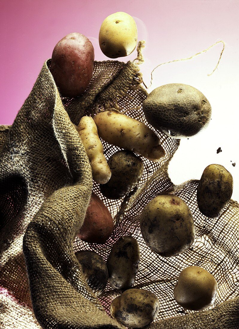 Assorted Potatoes Falling From a Burlap Bag