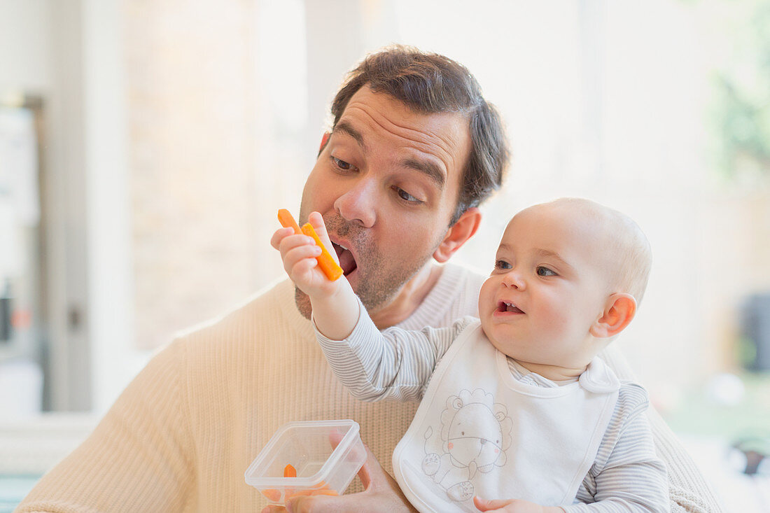 Baby son feeding carrots to father