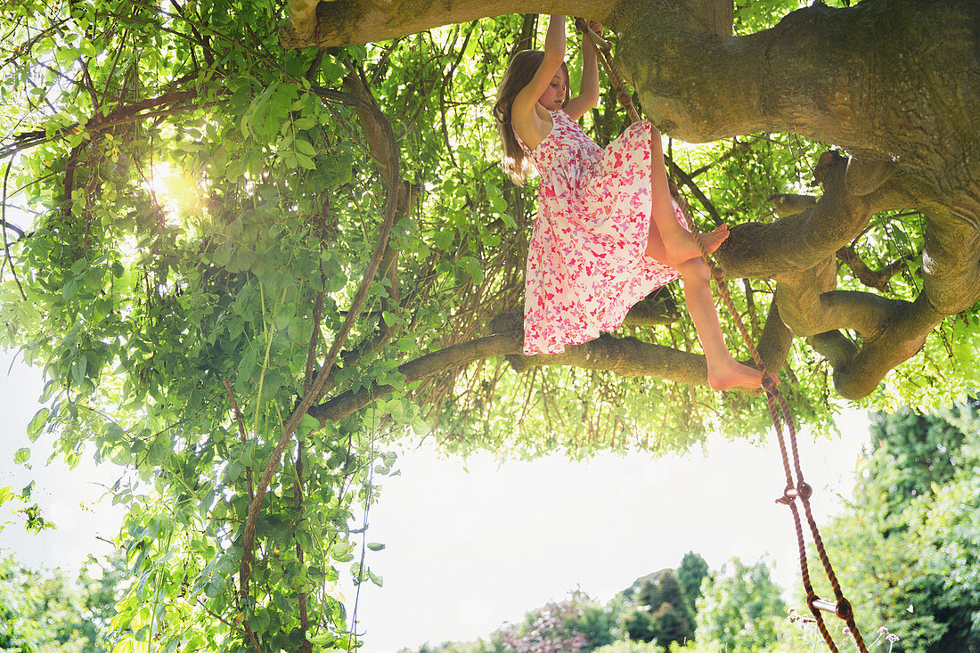 Girl in sun dress climbing tree