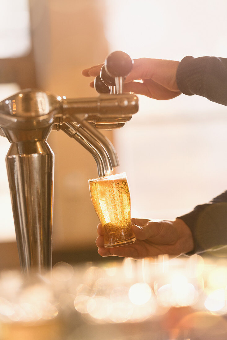 Bartender filling pint glass with beer