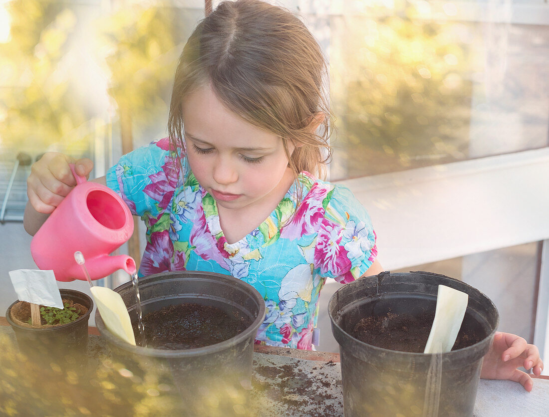 Girl watering seedlings in flowerpots