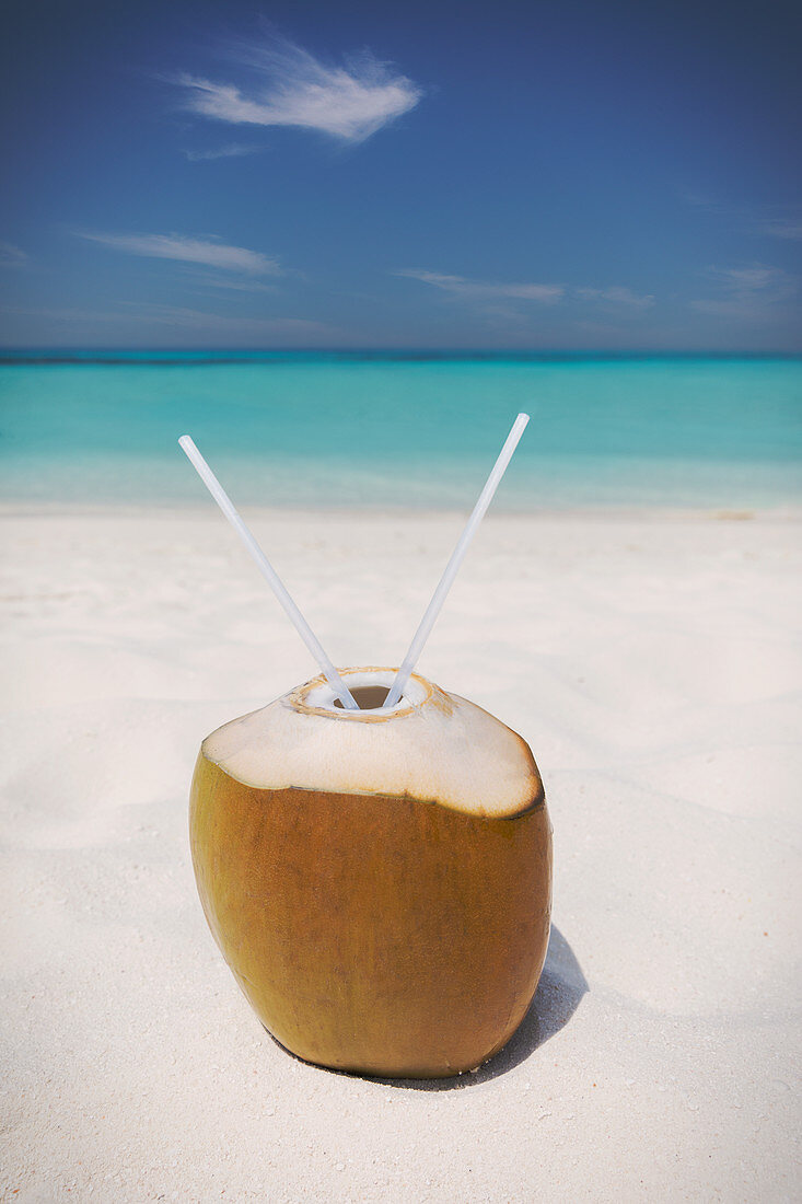 Coconut with two straws on ocean beach