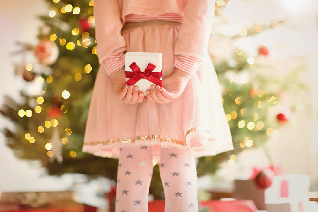 Girl in pink dress hiding Christmas gift