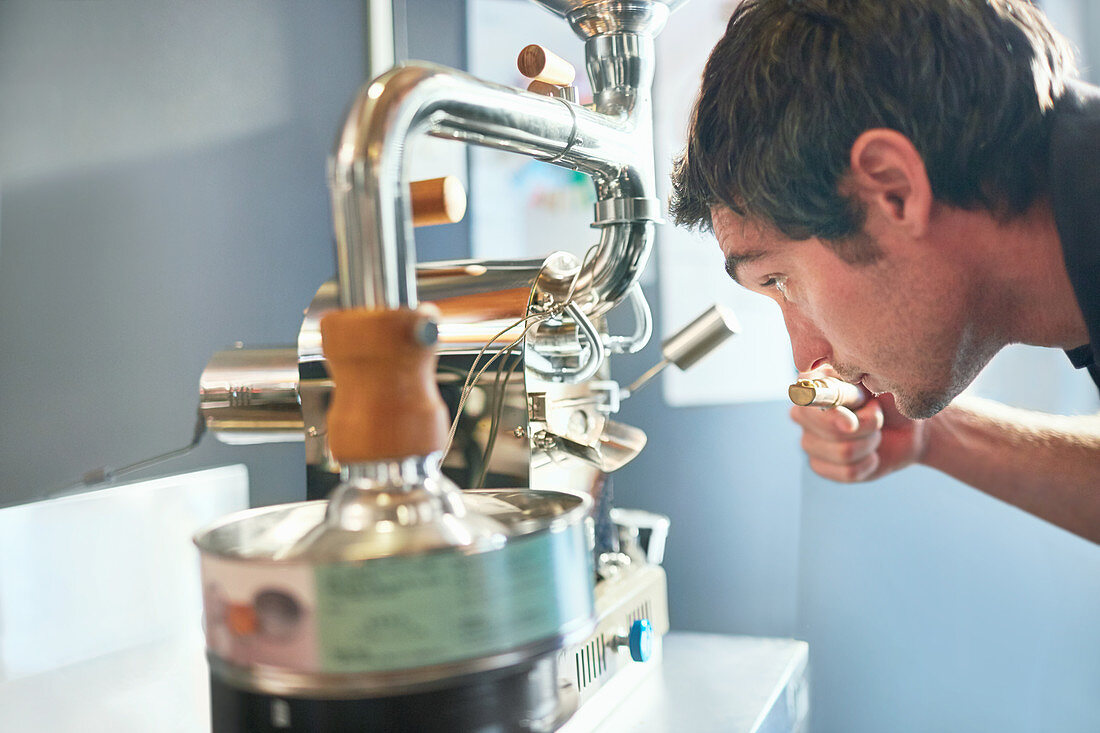Male coffee roaster smelling, testing coffee