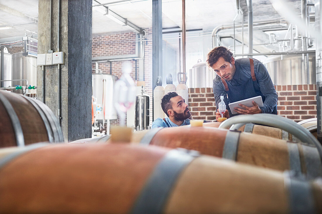Male winemakers checking wood casks
