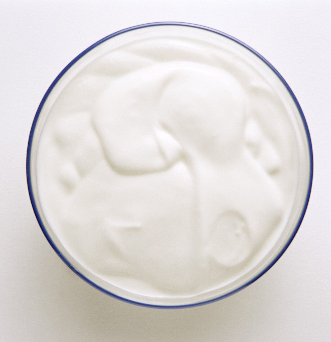 A bowl of natural yoghurt