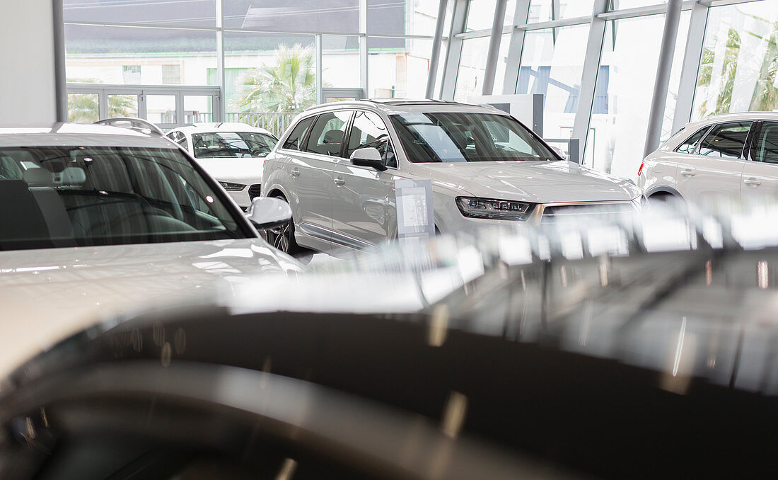 New, white cars in showroom