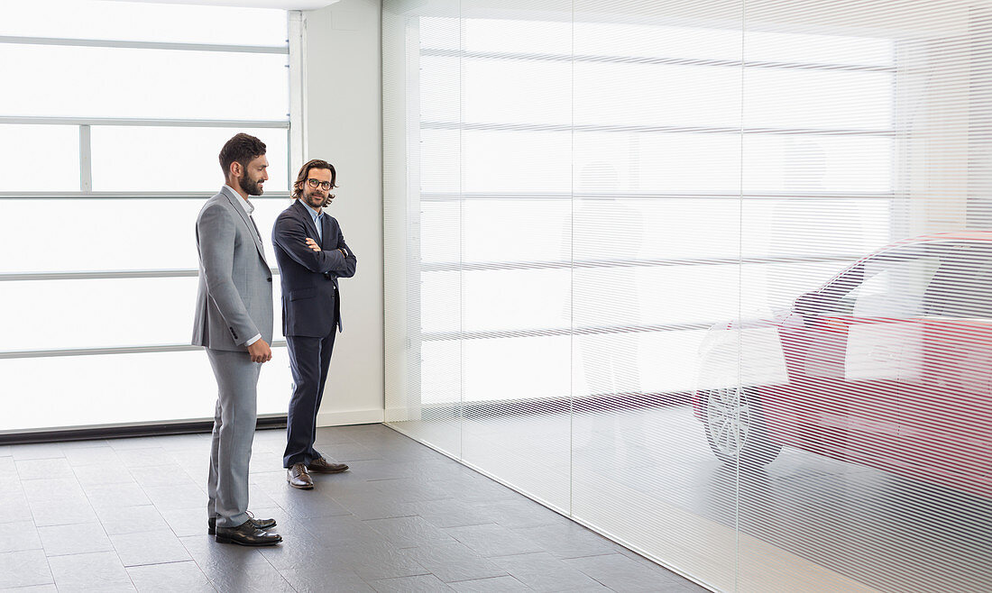 Car salesman and customer looking at car