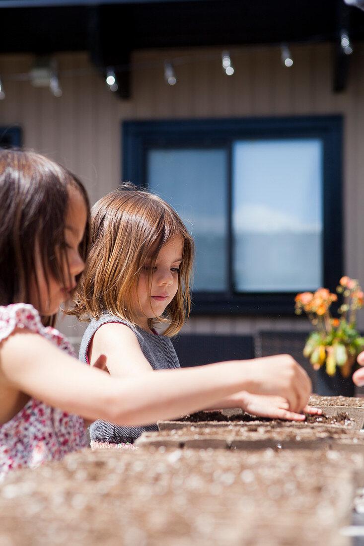 Girls planting seedlings on sunny patio