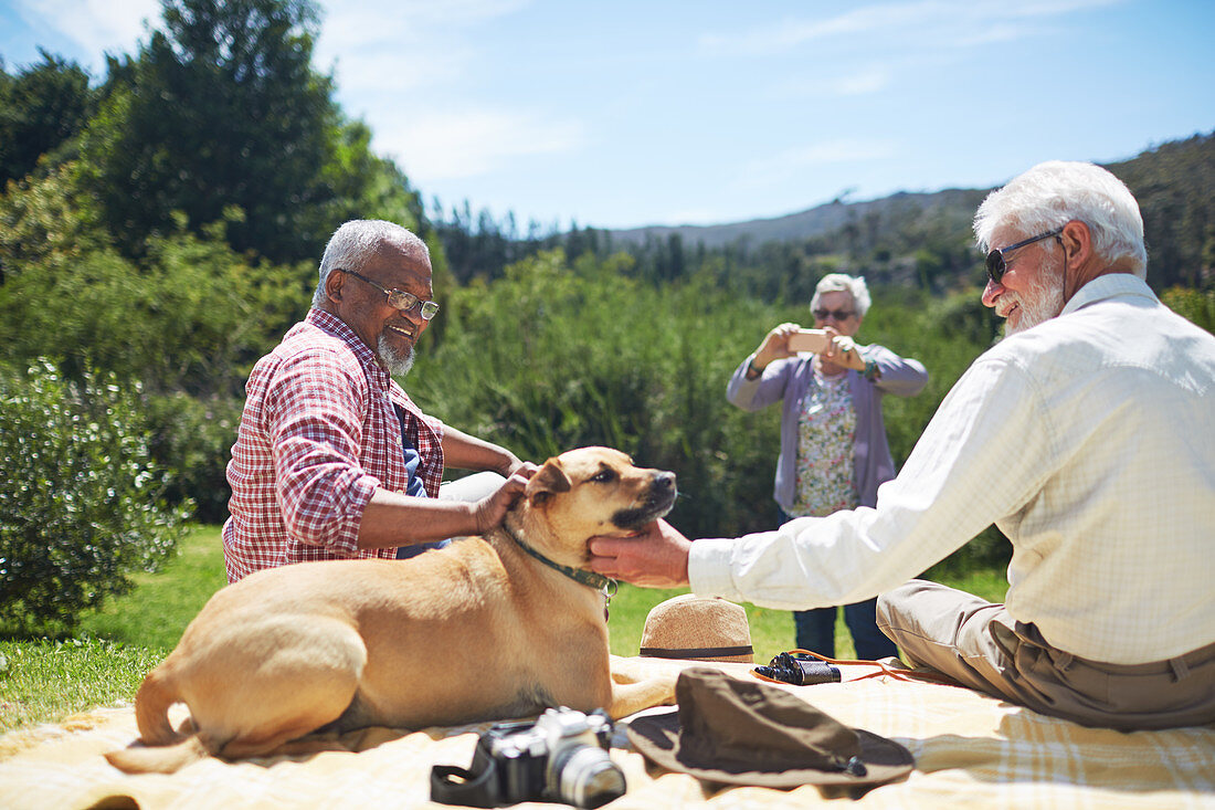 Senior men friends petting dog