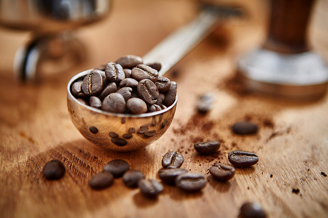 Roasted coffee beans in measuring cup scoop