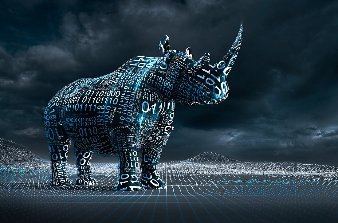 Illustration of binary code over rhinoceroses