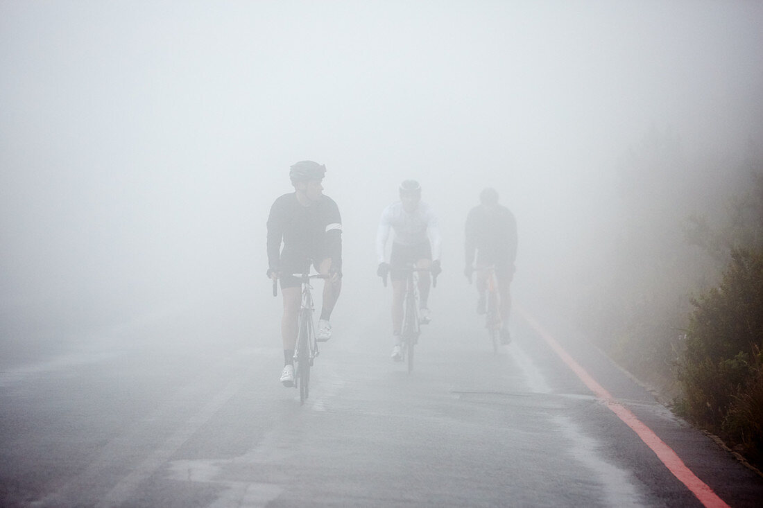 Dedicated cyclists cycling on rainy, foggy road