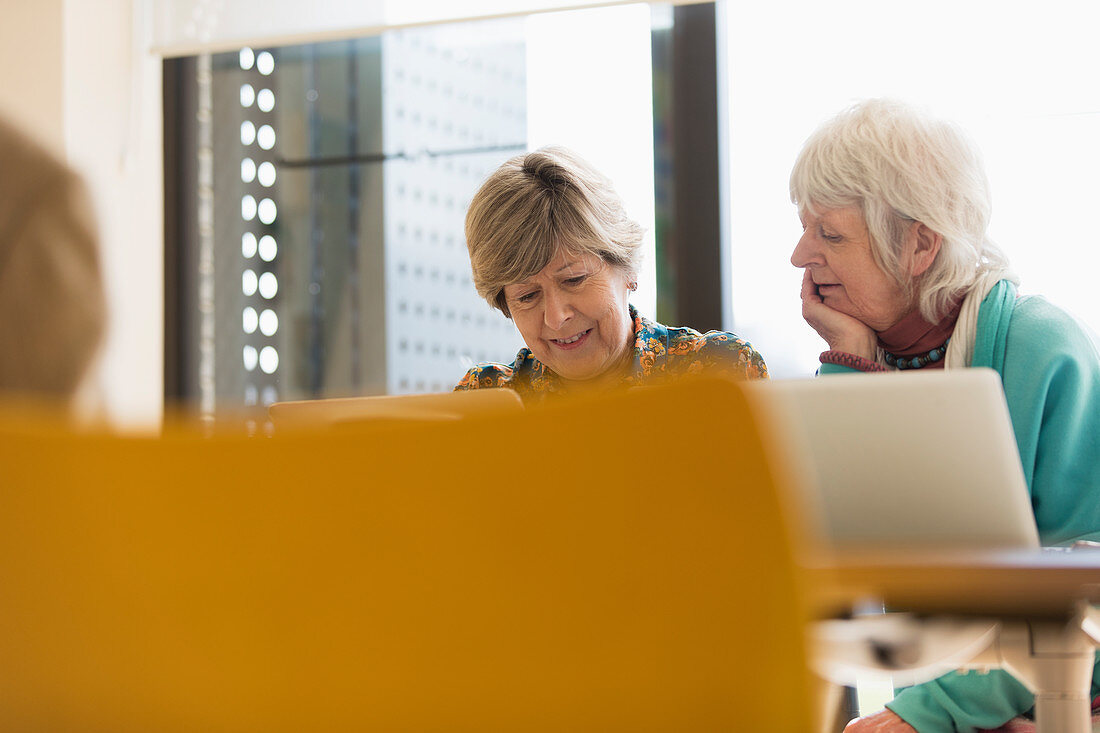 Senior businesswomen working at laptops