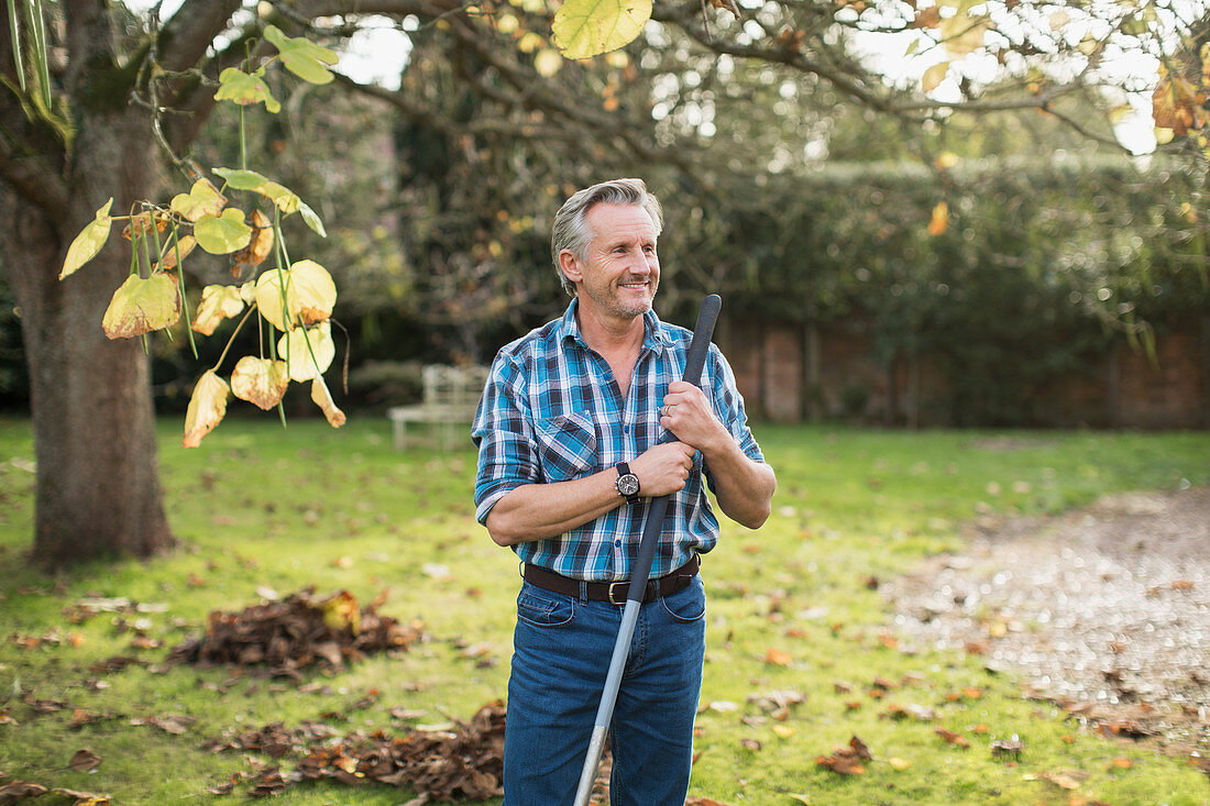 Smiling senior man raking autumn leaves