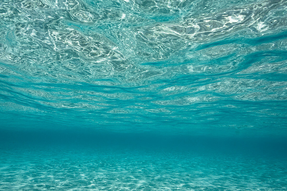 Underwater view tranquil blue ocean