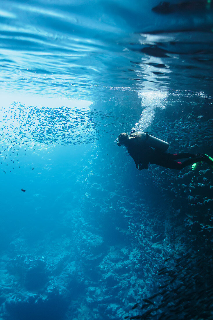 Woman scuba diving underwater among school of fish