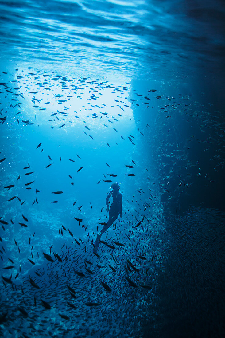 Woman snorkelling underwater among school of fish