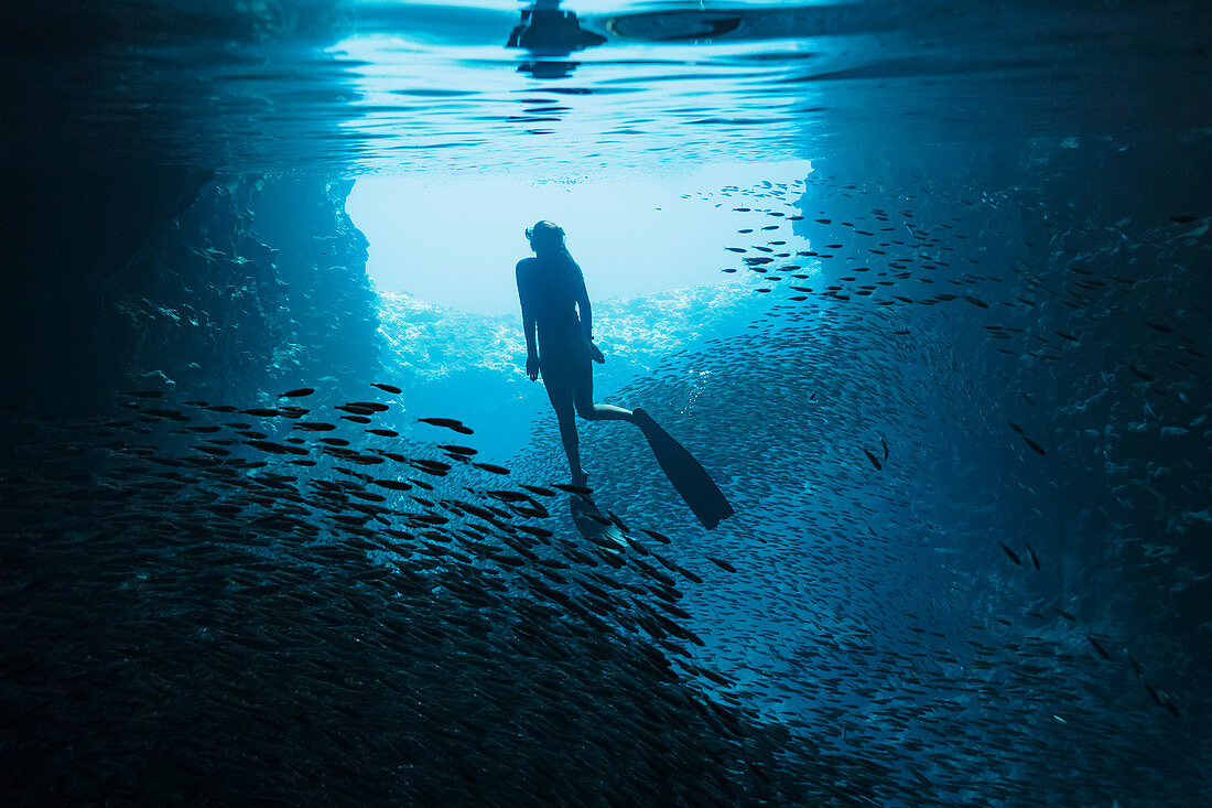 Woman snorkelling underwater among schools of fish