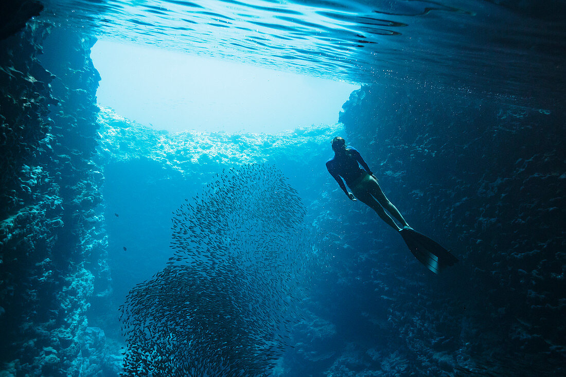 Young woman snorkelling among school of fish