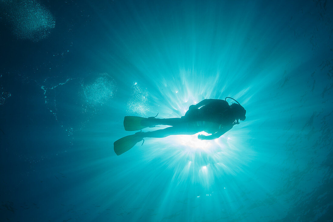 Sun shining behind woman scuba diving underwater