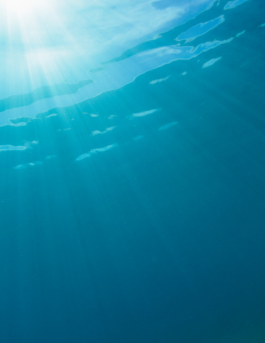 Tranquil sunbeams shining underwater in blue ocean