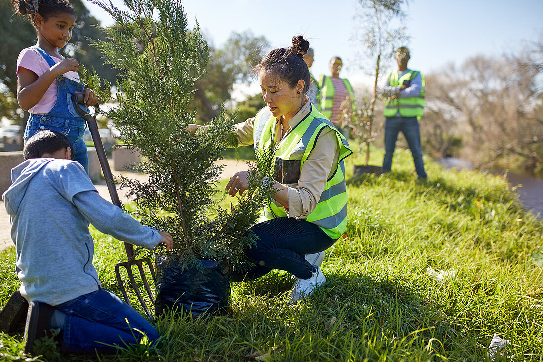 Woman and children volunteers planting tree
