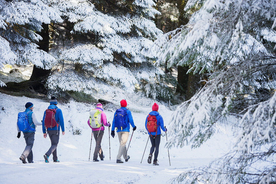 Family hiking in snowy woods